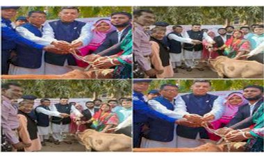 ৪৮ নওগাঁ ৩ আসনের সংসদ সদস্য সৌরেন্দ্রনাথ চক্রবর্তী ক্ষতিগ্রস্ত পরিবারের মাঝে গরু ও ঢেউকির বিতরণ করেন
