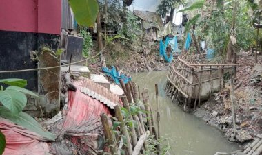 মির্জাগঞ্জে ভূমি দস্যূদের দখলে সরকারি খাল