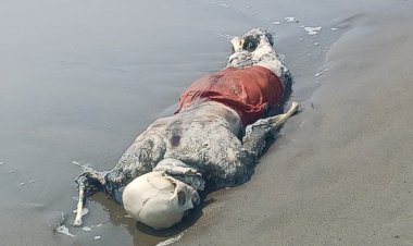 সৈকতে ভেসে আসছে অর্ধগলিত মৃতদেহ