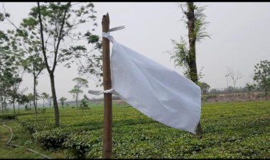 ভারতের কাছ থেকে ৯১ বিঘা জমি উদ্ধার, ঠাকুরগাঁও সীমান্তে আনন্দ উৎসব