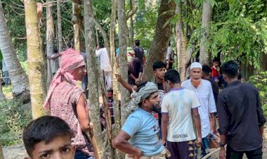 নড়াইলের কালিয়ায় ক্রিকেট খেলাকে কেন্দ্র করে দুই পক্ষের সংঘর্ষে মুক্তিযোদ্ধা সহ আহত ১৫