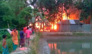 ময়মনসিংহের তারাকান্দায় আগুনে পুড়ল ৯ বসতঘর