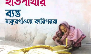 হাত পাখায় যে গ্রামের মানুষের জীবিকা লুকিয়ে আছে!