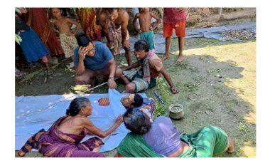 নওগাঁর দোহালী গ্রামে নিধূরাম নামে  এক কৃষকের সাপের কামড়ে  মৃত্যু