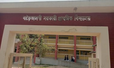 নরসিংদীর শিবপুর বাড়ৈ আলগী সরকারি প্রাথমিক বিদ্যালয়ে চুরি