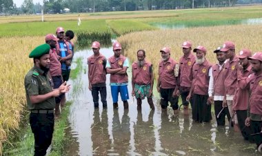 পানিতে ডোবা কৃষকের ধান কেটে দিলেন আনসার-ভিডিপি সদস্যরা কুড়িগ্রামে মানবিক উদ্যোগে প্রশংসায় ভাসছে বাহিনী