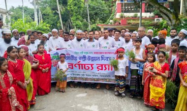 হোমনায় জাতীয় পল্লী উন্নয়ন দিবসে উপকার ভোগীদের মাঝে ৫ লাখ ৬০ হাজার টাকা ও গাছের চারা বিতরণ