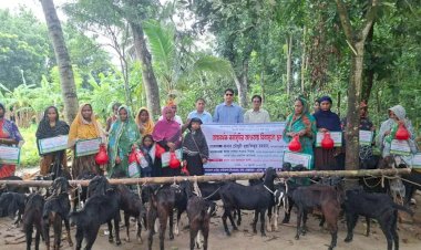 বালিয়াকান্দিতে আয়বর্ধক কর্মসূচির আওতায় বিনামূল্যে ছাগল বিতরণ