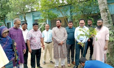 বুড়িচংয়ে প্রাথমিক শিক্ষা পদক প্রদান অনুষ্ঠান সরাসরি সম্প্রচার, গাছ রোপণ কর্মসূচির উদ্বোধন