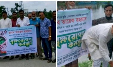 কেশবপুর বিএনপি'র উদ্যোগে বৃক্ষরোপণ  কর্মসূচি অনুষ্ঠিত