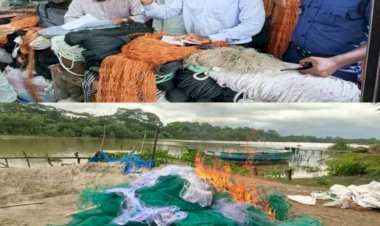 পটুয়াখালীর মির্জাগঞ্জে মোবাইল কোর্ট পরিচালনায় অবৈধ জাল জব্দ