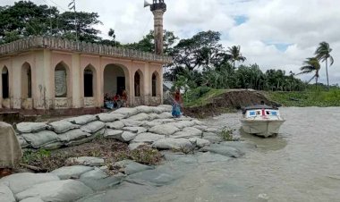 নদী ভাঙ্গন যেন থামছেই না মির্জাগঞ্জের সুন্দ্রা , পীপরাখালী