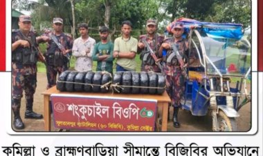 সীমান্তে বিজিবির আকস্মিক টহল: ২৬ লাখ টাকার চোরাচালানি মালসহ হাতেনাতে আটক ৩!