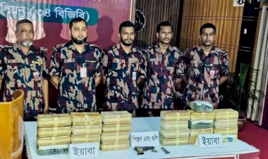 ঘুমধুম সীমান্তে বিজিবির অভিযান: পিস্তল, গুলি ও ২ লাখ ৪৬ হাজার ইয়াবা উদ্ধার