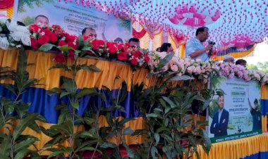 সাতৈর ইউনিয়নের  চেয়ারম্যান পদপ্রার্থী এলিম বিশ্বাসের পক্ষথেকে চারাগাছ বিতরন কর্মসূচী অনুষ্ঠিত