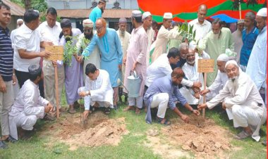 নওগাঁয় পরিবেশ ভারসাম্য রক্ষায় ৮ হাজার ধর্মীয় প্রতিষ্ঠানে বৃক্ষরোপণ কর্মসূচি শুরু