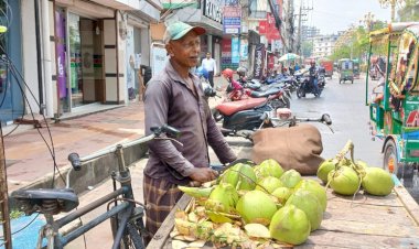 প্রচন্ড গরমে ডাবের পানি শরীর সতেজ রাখে