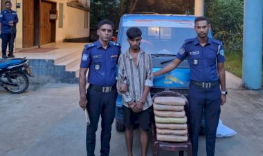 হোমনায় গাঁজা ও পিকআপসহ মাদক কারবারি গ্রেফতার