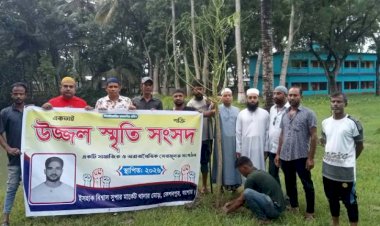 কেশবপুরে বিভিন্ন মাদ্রাসা ও এতিমখানায়  উজ্জ্বল স্মৃতি সংসদ-এর বৃক্ষরোপণ