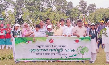 বগুড়ায় টিএমএসএস পাবলিক স্কুল অ্যান্ড কলেজে 'সবুজে সাজাই বাংলাদেশ’ বৃক্ষরোপণ কর্মসূচি