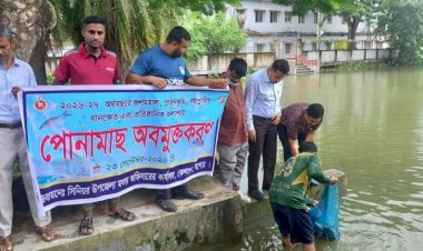 কেশবপুরে বিভিন্ন জলাশয়ে পোনামাছ  অবমুক্তকরণ
