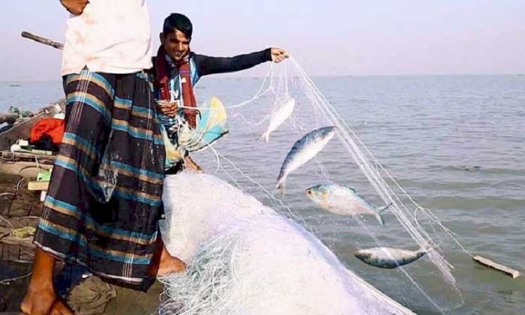 আজ থেকে দুই মাস ইলিশ ধরা বন্ধ থাকবে।