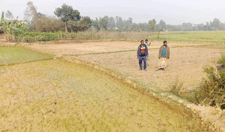 নওগাঁ পূর্ব শত্রুতা জের ধরে বোর-ইরি ধানের জমিতে পানি না দেওয়ার অভিযোগ