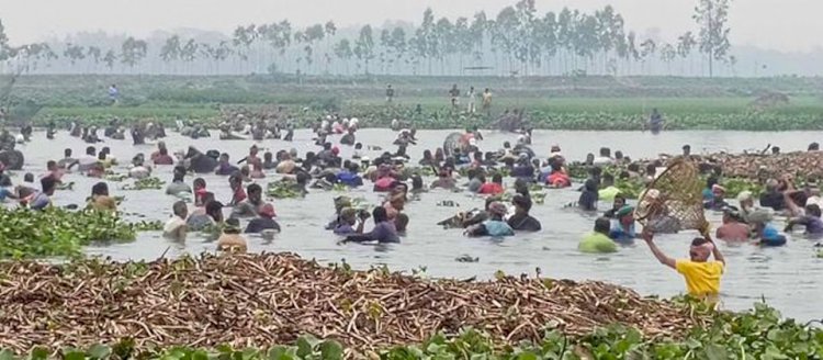 নরসিংদীতে 'পলো বাওয়া' উৎসব