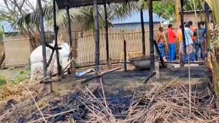 নড়াইলের লোহাগড়ায় আগুনে পুড়ল দিনমজুরের ৩ গরু,৫ লক্ষ টাকার ক্ষতি