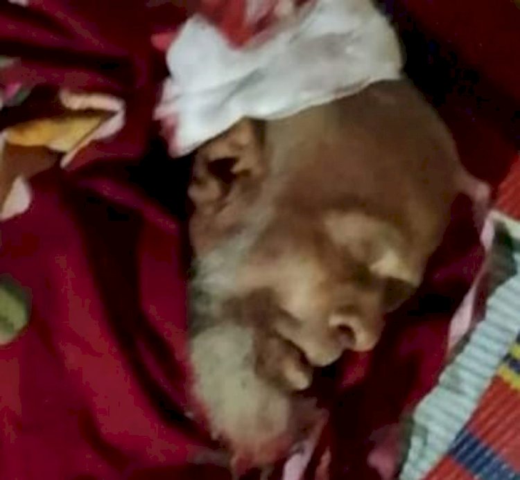 টেকনাফের হোয়াইক্যং সড়কে সিএনজি গাড়ীর ধাক্কায় প্রাণ গেল এক সত্তোরর্ধ্ব বৃদ্ধের
