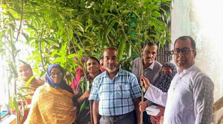 কেশবপুরে গ্রামীণ ব্যাংকের আয়োজনে ২০ হাজার  ফলদ ও বনজ গাছের চারা বিতরণ উদ্বোধন