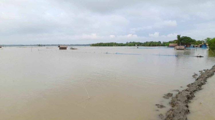 রাজবাড়ী অঞ্চলে পদ্মার পানি প্রবাহ বিপৎসীমার নিচে