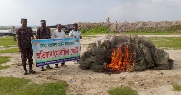 নওগাঁর সীমান্ত এলাকার পূনর্ভবা নদিতে যৌথ অভিযানের অবৈধ হাজারদুয়ারি কারেন্ট জাল আটক