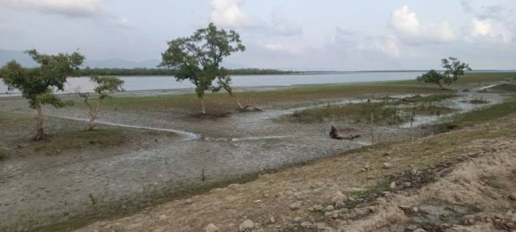 ফের গভীর রাতে টেকনাফ সীমান্তে মর্টারশেল বিস্ফোরণের বিকট শব্দে সীমান্তবাসীর ঘুমভাঙ্গে