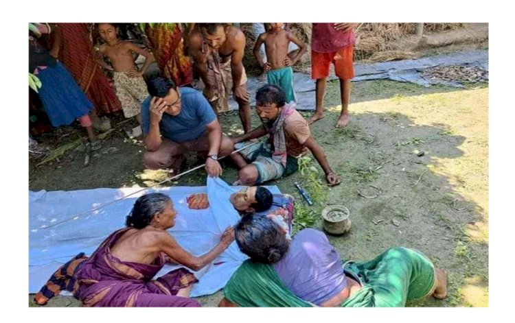 নওগাঁর দোহালী গ্রামে নিধূরাম নামে  এক কৃষকের সাপের কামড়ে  মৃত্যু