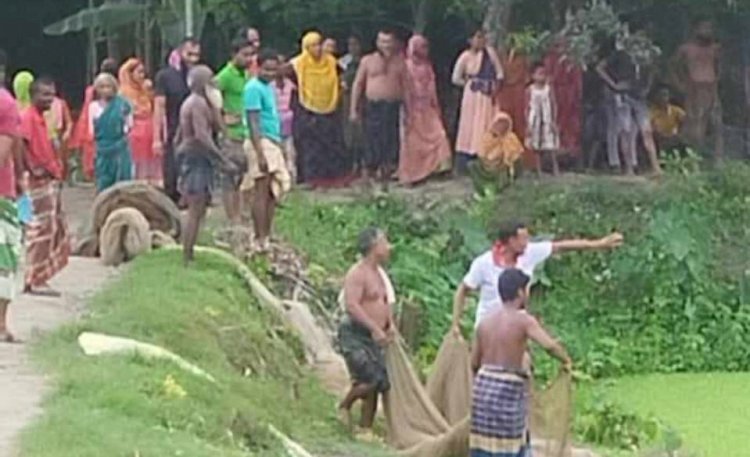 গোবিন্দগঞ্জে জোরপূর্বক পুকুরের মাছ ধরে বিক্রি,সাত লক্ষ টাকার ক্ষতি