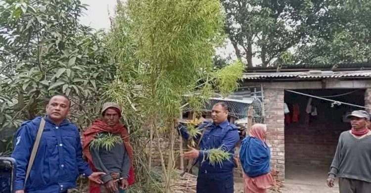 নওগাঁর আত্রাইয়ে আবুবক্কর নামে এক ব্যক্তির হাতুড়ি আঘাতে মৃত্যু