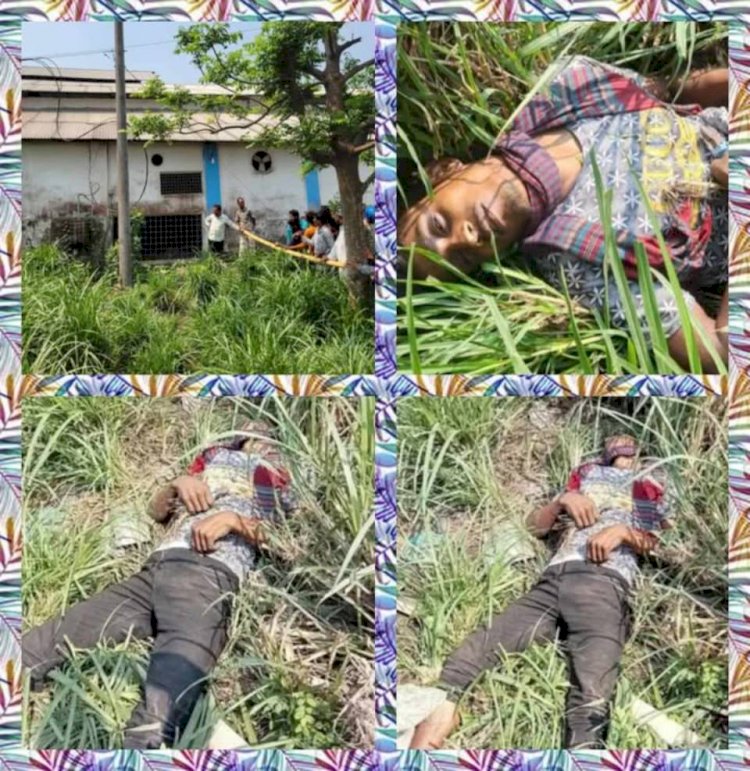 নওগাঁর মহাদেবপুরে বিসমিল্লাহ রাইস মিলের মিটার চুরি করতে গিয়ে বিদ্যুৎ পৃষ্ট হয়ে আরিফ হোসেনের মৃত্যু