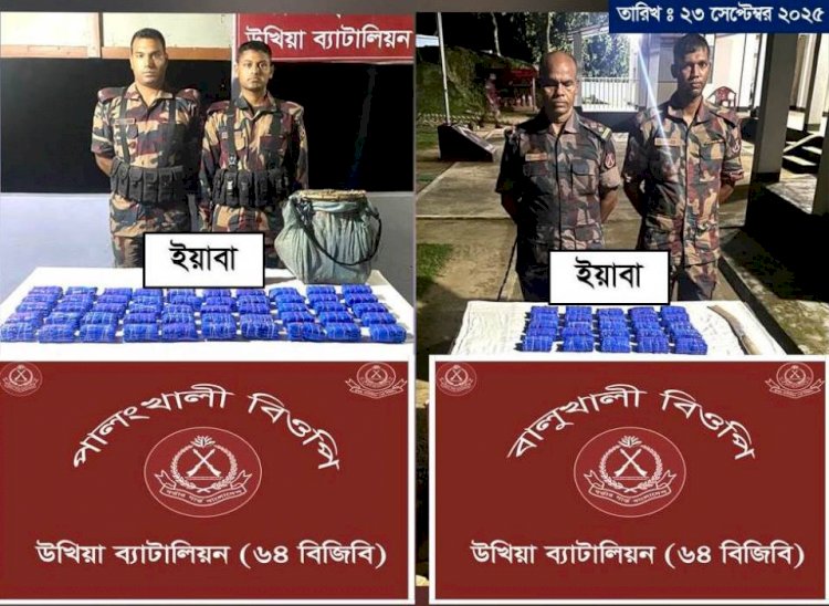 উখিয়া বিজিবি’র পৃথক অভিযানে বালুখালী ও পালংখালী এলাকা হতে ১ লক্ষ ৫০ হাজার পিস ইয়াবা উদ্ধার