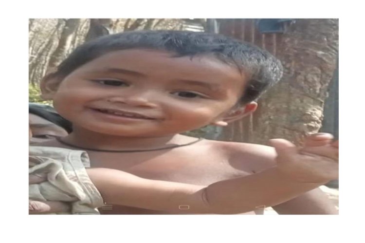 রাঙ্গাঝিরি ছড়ার তীব্র স্রোতে ভেসে প্রাণ গেল পাঁচ বছরের শিশু আলিয়ার