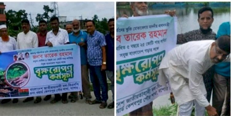 কেশবপুর বিএনপি'র উদ্যোগে বৃক্ষরোপণ  কর্মসূচি অনুষ্ঠিত