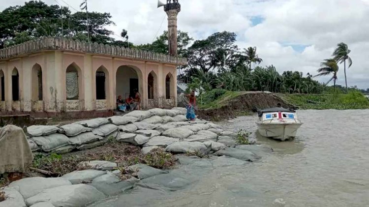 নদী ভাঙ্গন যেন থামছেই না মির্জাগঞ্জের সুন্দ্রা , পীপরাখালী
