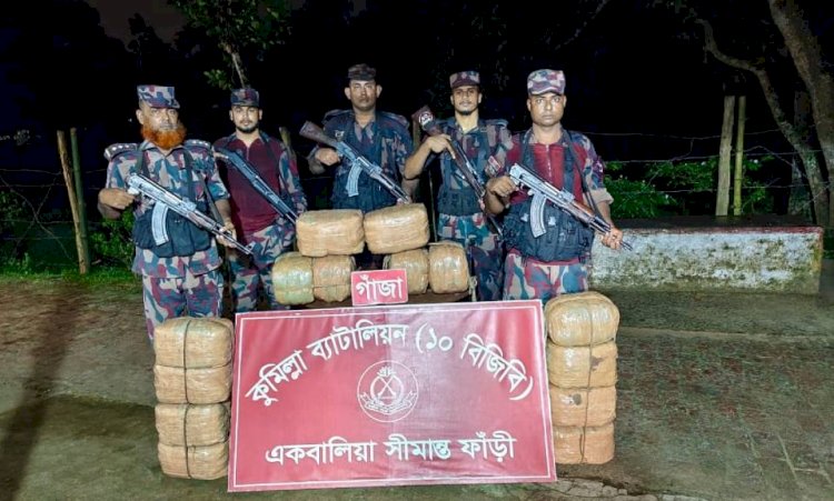 কুমিল্লার সীমান্তে বিজিবির সাঁড়াশি অভিযান: ১২৪ কেজি গাঁজা ও ইয়াবাসহ আটক ১