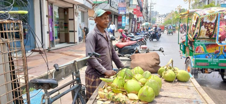 প্রচন্ড গরমে ডাবের পানি শরীর সতেজ রাখে