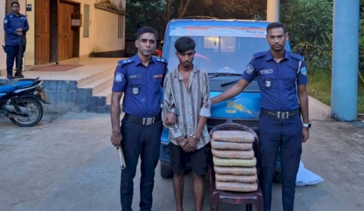 হোমনায় গাঁজা ও পিকআপসহ মাদক কারবারি গ্রেফতার