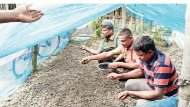 সাগরদাঁড়ীতে এক আনসার কমান্ডার তৈরি  করছেন জৈব সার, কীটনাশক ও ছত্রাকনাশক