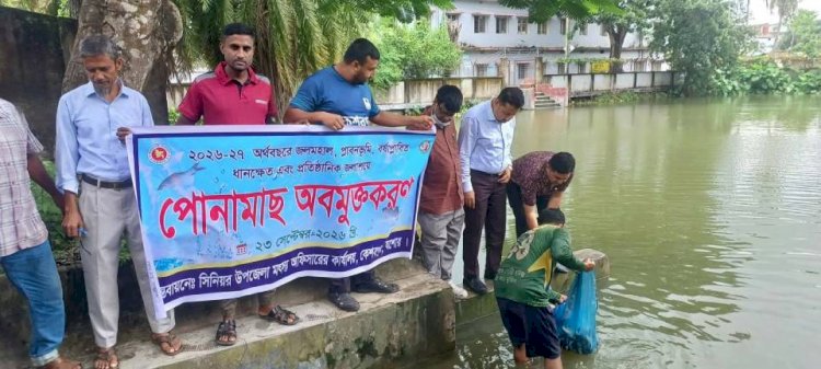 কেশবপুরে বিভিন্ন জলাশয়ে পোনামাছ  অবমুক্তকরণ