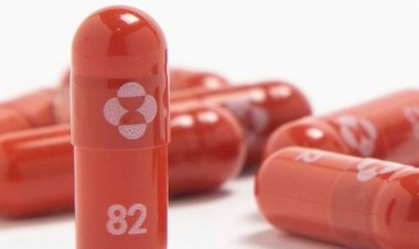 যুক্তরাজ্যে সদ্য অনুমোদন পাওয়া করোনাভাইরাসের মুখে খাওয়ার ওষুধ