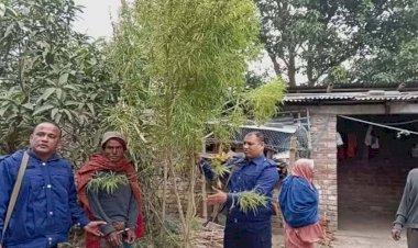 নওগাঁর আত্রাইয়ে আবুবক্কর নামে এক ব্যক্তির হাতুড়ি আঘাতে মৃত্যু