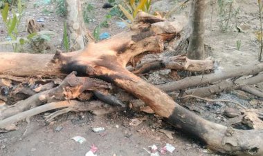 নড়াইলরে কালিয়ায় বো'মা সদৃশ্য বস্তুর বি'স্ফো'রণ, চতুর্থ শ্রেণির এক শিক্ষার্থী আহত!